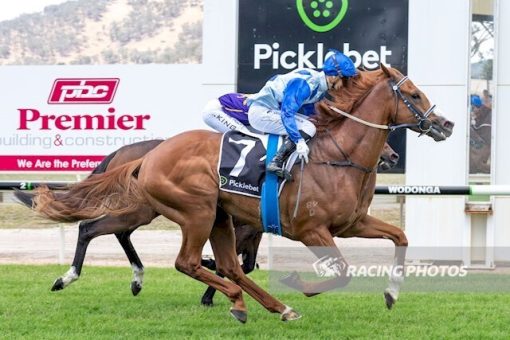 Trapeze Artist - Lucrezia