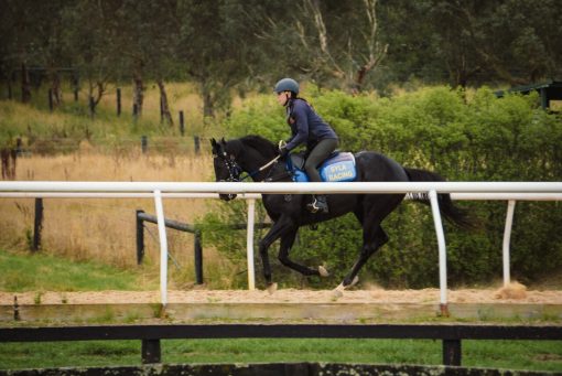 Almanzor - Staryn Glenn